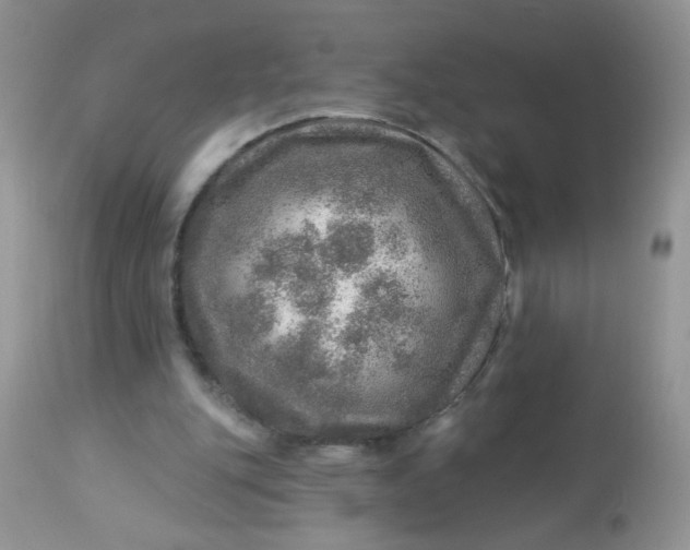 X0000113570151200910091447