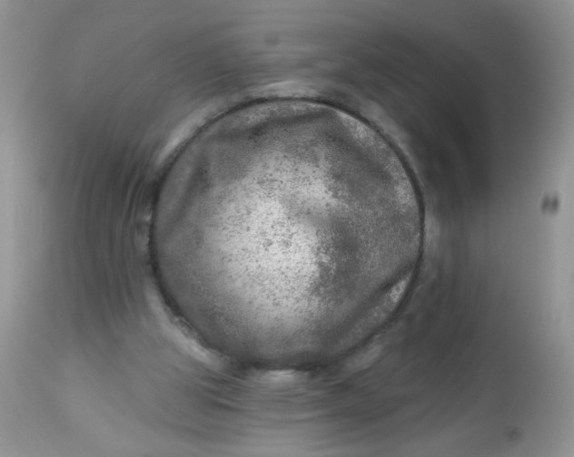 X0000113570153200910091447