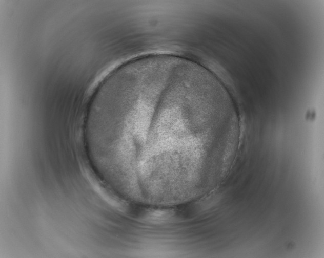 X0000113570155200910091447