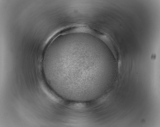 X0000113570156200910091447