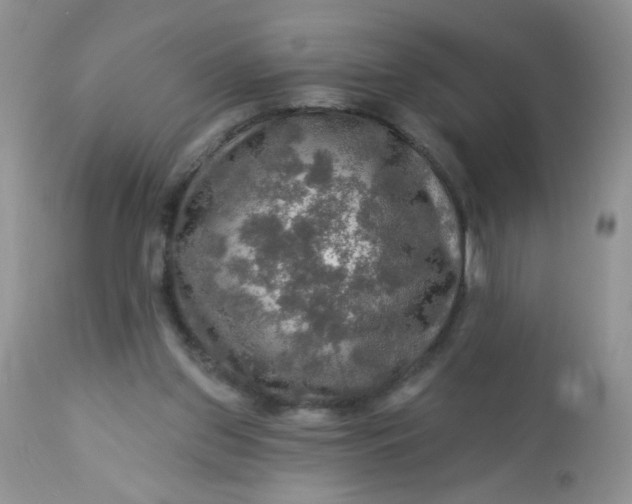 X0000113570157200910091447