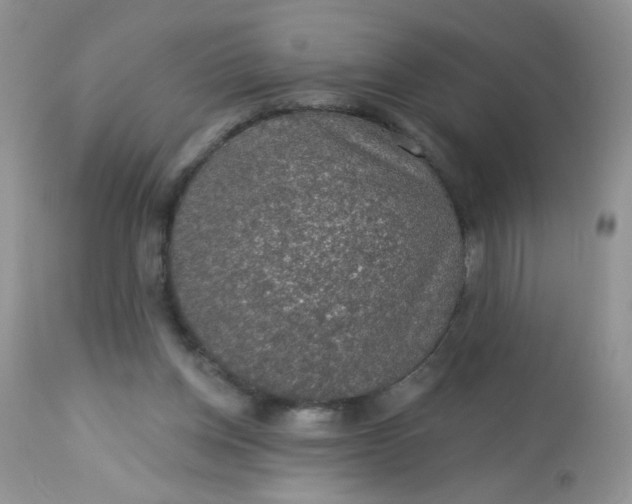 X0000113570158200910091447