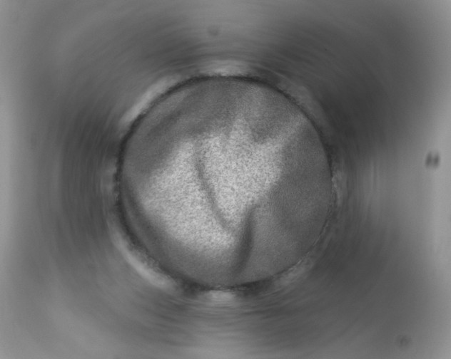 X0000113570159200910091447