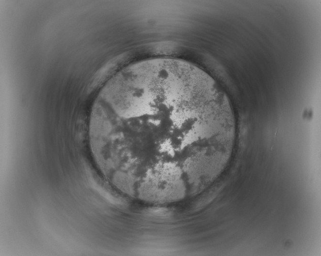 X0000113570161200910091447