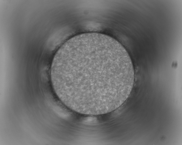 X0000113570162200910091447