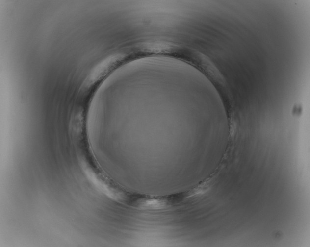 X0000113570163200910091447