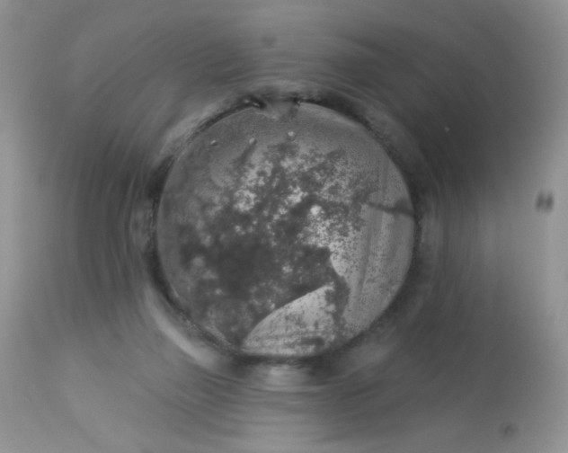 X0000113570165200910091447