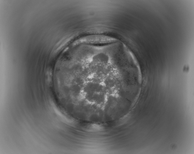 X0000113570166200910091447