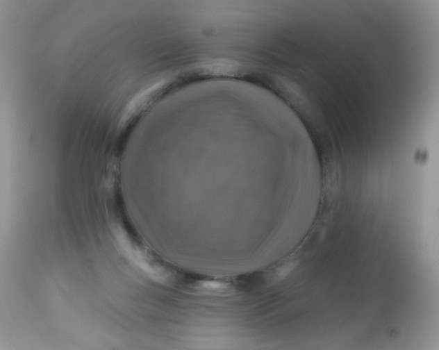 X0000113570167200910091447