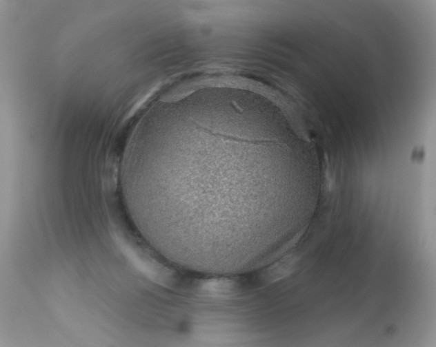 X0000113570168200910091447