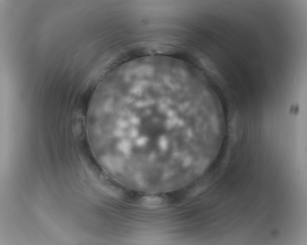 X0000113570169200910091447