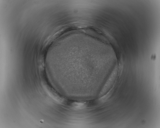 X0000113570170200910091447