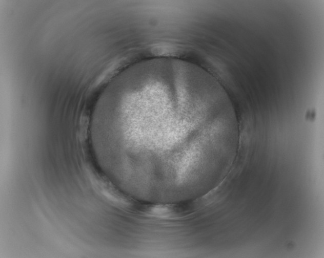 X0000113570171200910091447