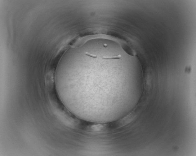 X0000113570172200910091447