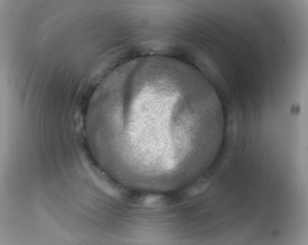 X0000113570173200910091447