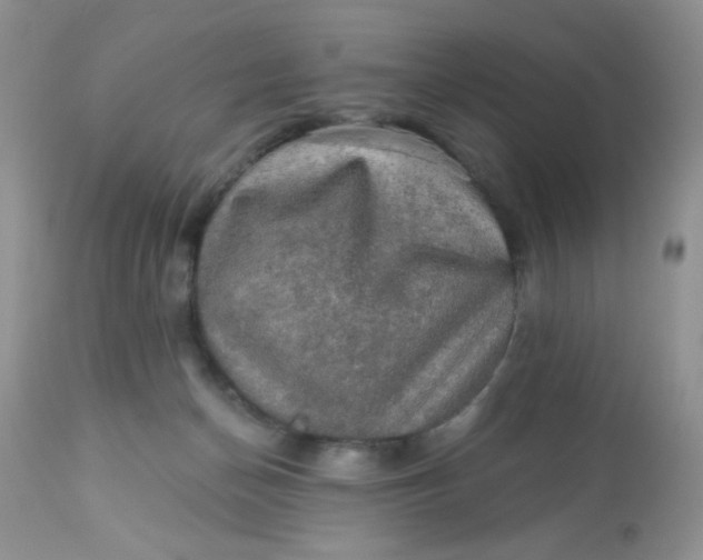 X0000113570174200910091447