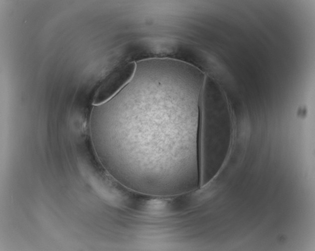 X0000113570176200910091447