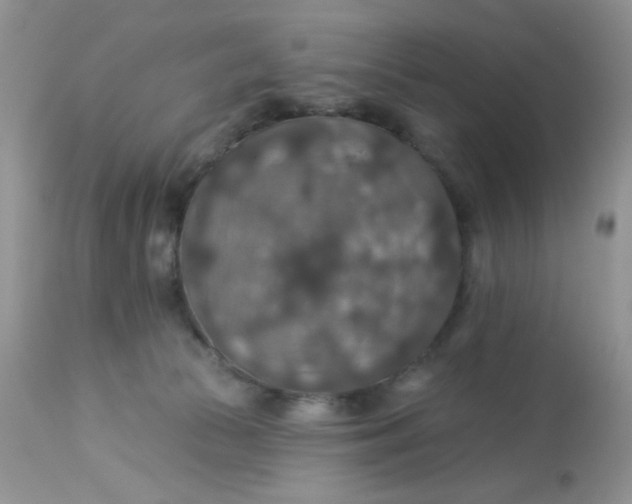 X0000113570177200910091447