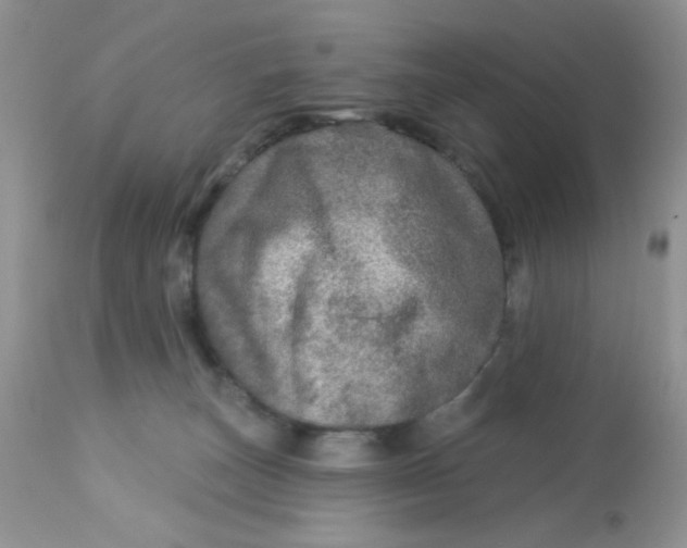 X0000113570179200910091447