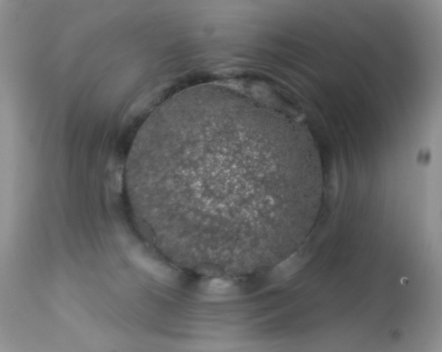 X0000113570180200910091447