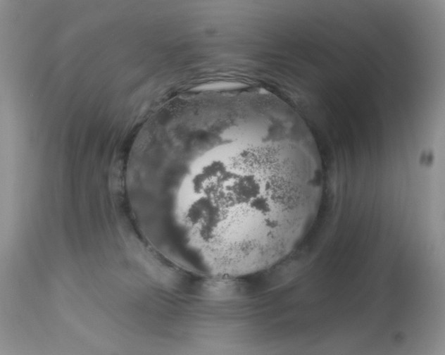 X0000113570181200910091447