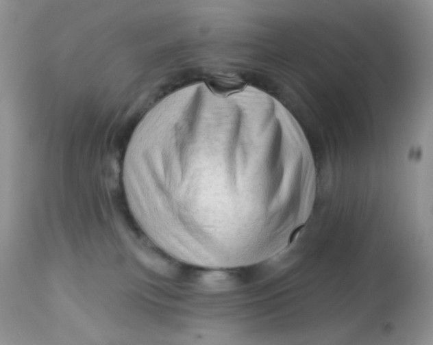 X0000113570183200910091447