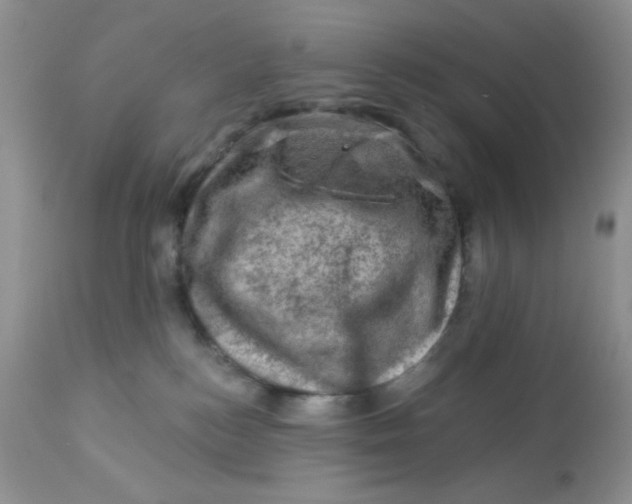 X0000113570184200910091447