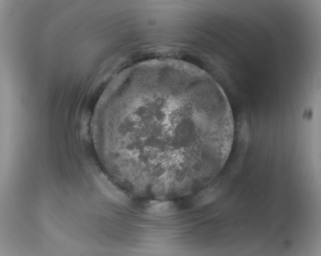 X0000113570185200910091447