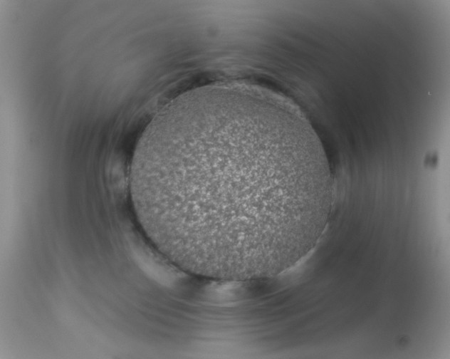 X0000113570186200910091447