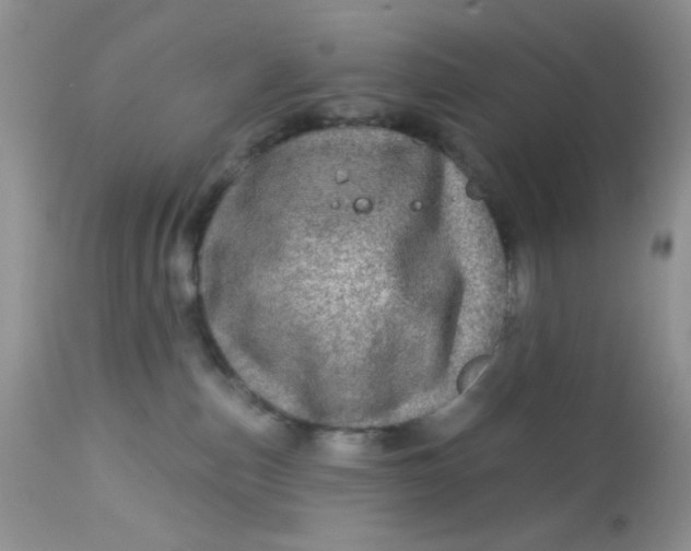 X0000113570187200910091447