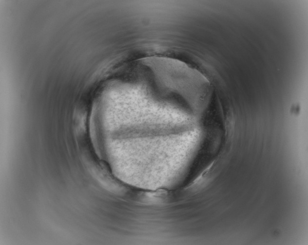 X0000113570188200910091447