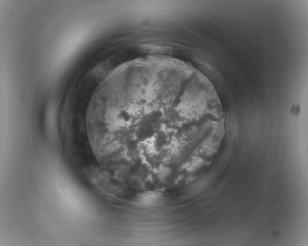 X0000113570189200910091447