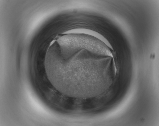 X0000113570190200910091447