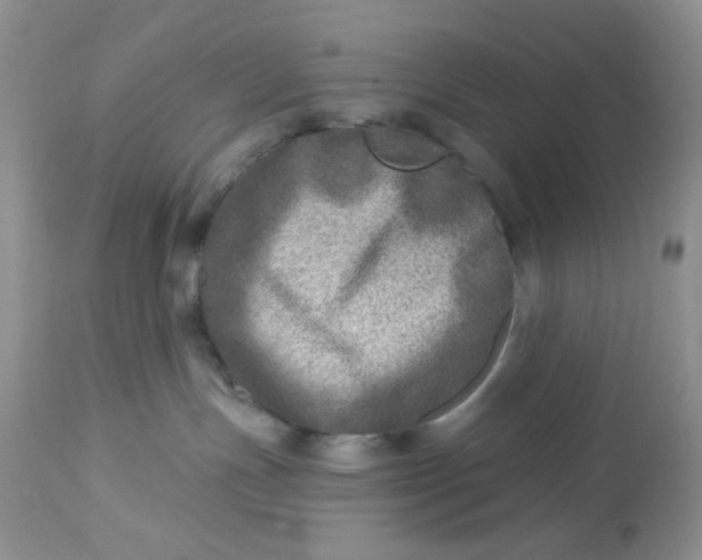 X0000113570191200910091447