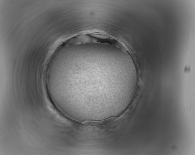 X0000113570193200910091446