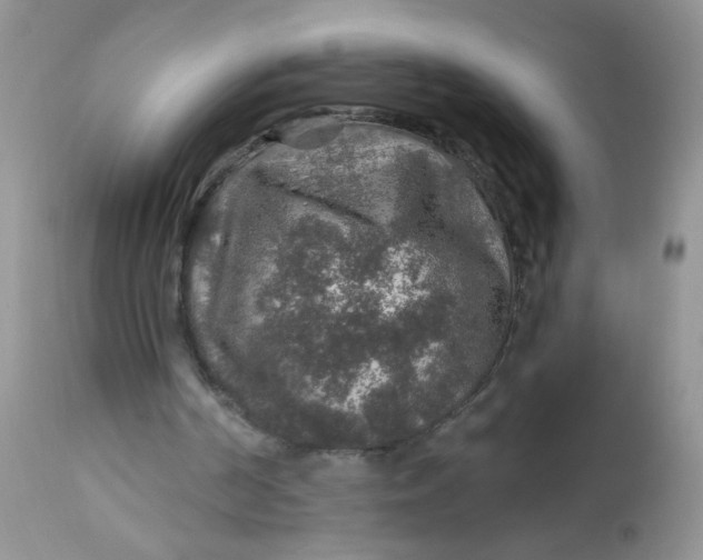 X0000113570194200910091446