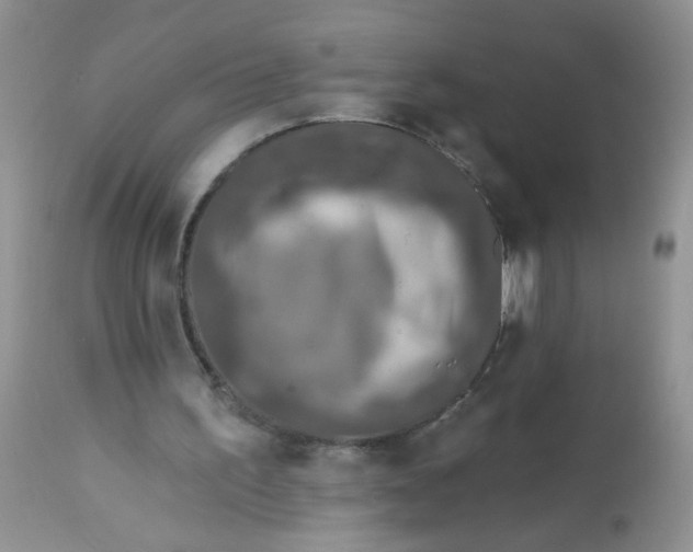 X0000113570195200910091446