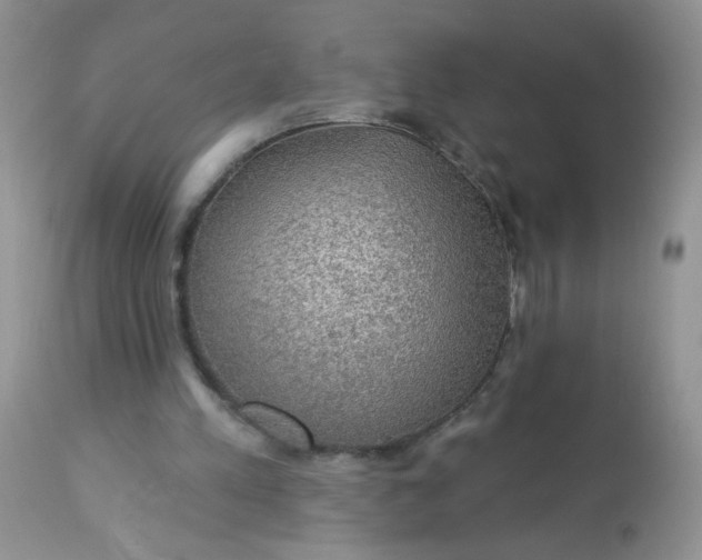 X0000113570197200910091446