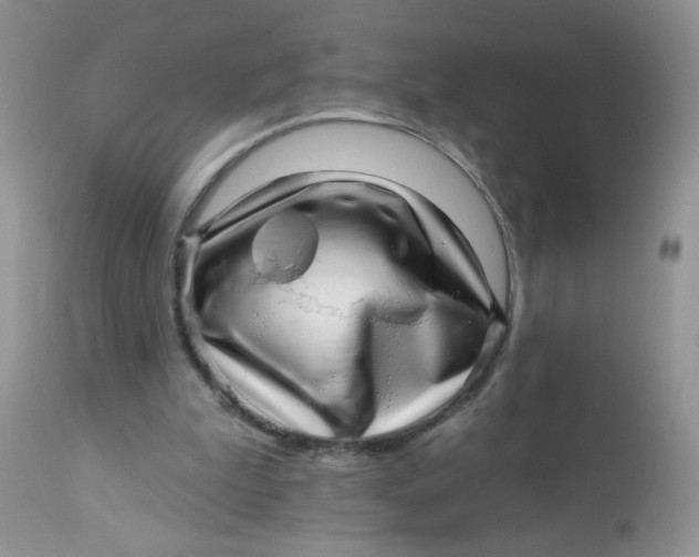 X0000113570199200910091446