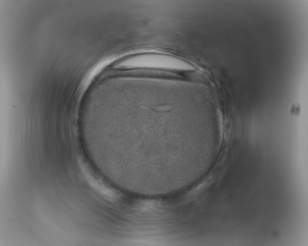 X0000113570200200910091446