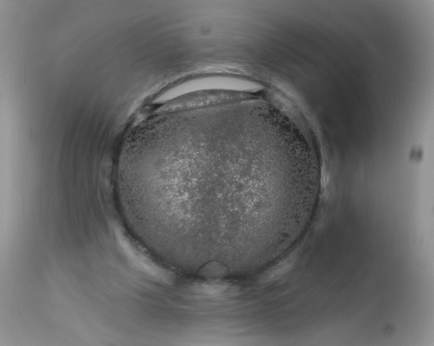 X0000113570201200910091446