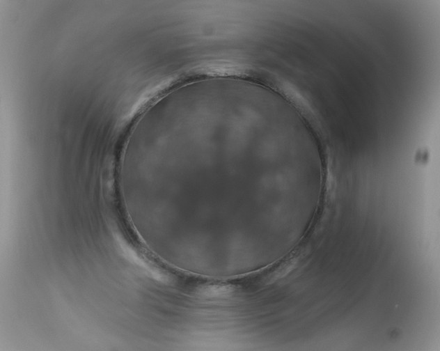 X0000113570202200910091446