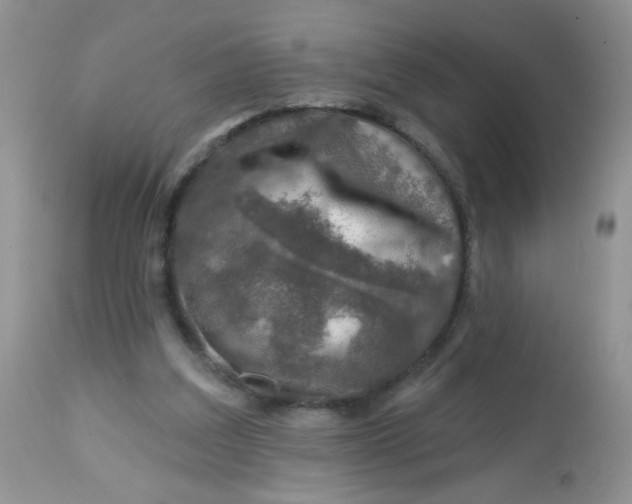 X0000113570203200910091446