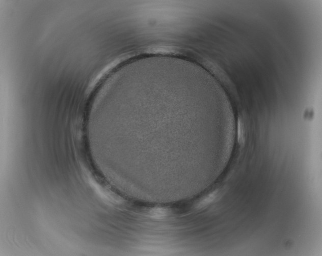 X0000113570204200910091446