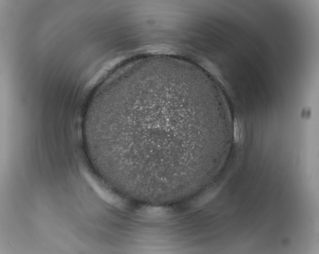 X0000113570205200910091446