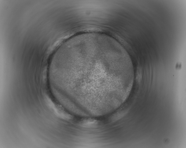 X0000113570206200910091446