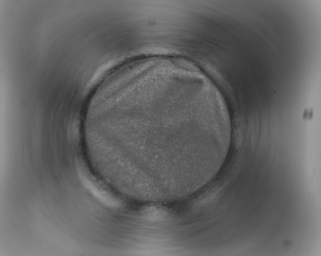 X0000113570207200910091446