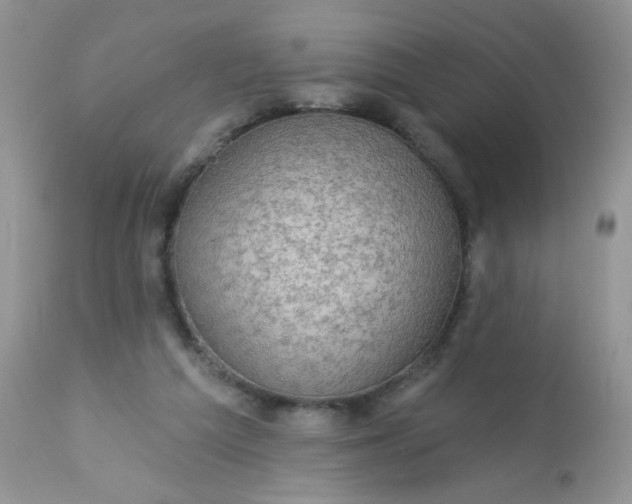 X0000113570209200910091446