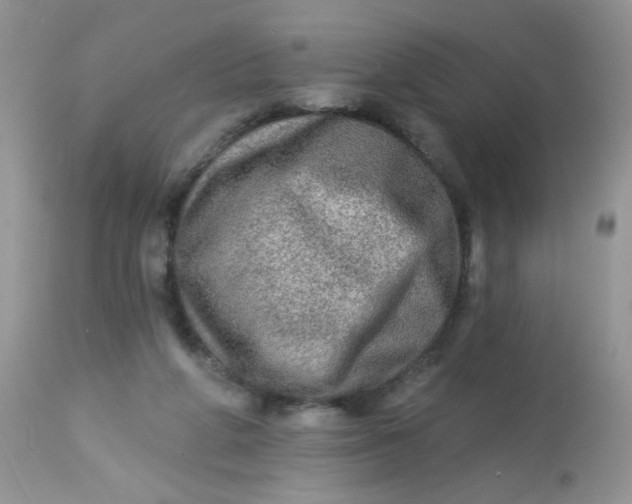 X0000113570210200910091446