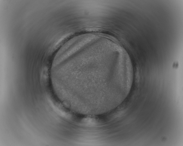 X0000113570211200910091446